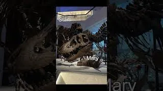 Thumbnail: STAN THE T REX HAS A NEW HOME! #dinosaur #paleontology #animals #trex