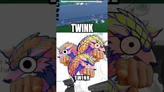Thumbnail: IMNOTATWINK
