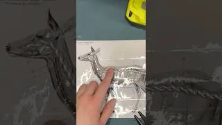 Thumbnail: Tutorial ✦ how to make a wire armature for polymer clay animals