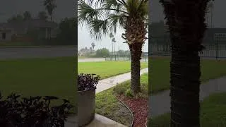Thumbnail: Rainy Days in Paradise #55plusliving #wintertexans #texasrain #pharrtexas #communityliving
