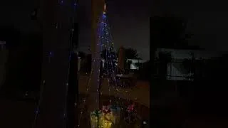 Thumbnail: Paradise Pool Christmas Glow-Up! Nothing says Christmas like twinkling lights by the pool! #55plus