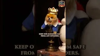 Thumbnail: EU4: A Pomerania for the Pomeranians 🐶 | #GrandestLAN