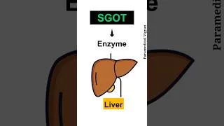 Thumbnail: SGOT, LFT Report Kaise Padhe - 2 Liver Function Test | Blood Test | #lft #shorts #paramedicalvigyan