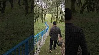 Thumbnail: mai na rha dhurandhar 2 popular song #reels #shorts #viral