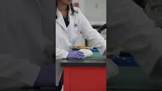 Thumbnail: Cushioning preparation ASMR #shorts | Parks Canada