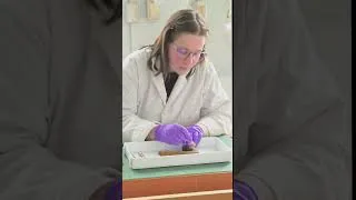 Thumbnail: Glass bristles on corrosion ASMR #shorts | Parks Canada
