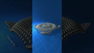 Thumbnail: Satisfying Physics, 24x25 Balls, Centre outwards Distribution #mesmerizing #ASMR #relaxing