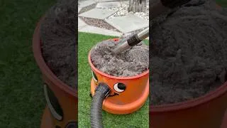 Thumbnail: Cleaning out the Numatic Hetty & Henry XL vacuum cleaners - [Fluff edition]