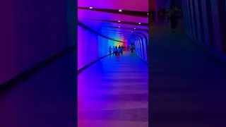 Thumbnail: This Star Trek Tunnel is Absolutely Stunning #shorts  #viral