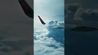 Thumbnail: Bad Weather, Good Pilot🥶 #shorts #shortsfeed #treval #trendingvideo