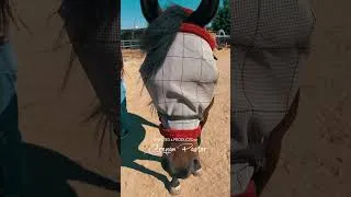 Thumbnail: Endo Collinz -LISA - Behind The Scenes