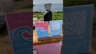 Thumbnail: coffee cart tour #coffee #specialtycoffee #specialtycoffeeroaster #dog