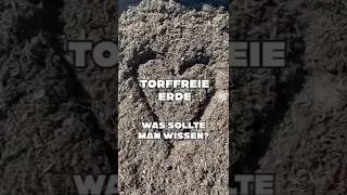Thumbnail: Pflanzen totgepflegt? 🪴 So gießt du torffreie Erde RICHTIG! #TorffreieErde #Gartenhack #Trauermücken