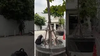 Thumbnail: Guess the location #thailand