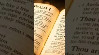 Thumbnail: "Blessed is the one who delights in the law of the Lord." — Psalm 1
