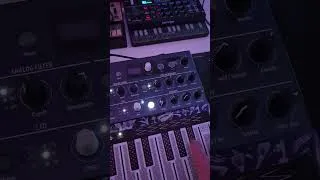 Thumbnail: beatstep pro on the minilogue xd #electronicmusic #synth