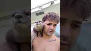 Thumbnail: A morning with Lola the otter, she loves her dad🥹