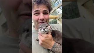 Thumbnail: Lola is officially in her outdoor enclosure & loves to swim🥹