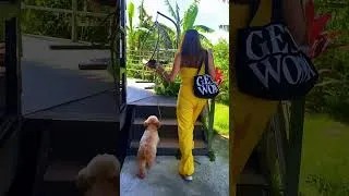 Thumbnail: FARM RIDGE Pantabangan Ep02 | Hidden Gem Resort Sa Nueva Ecija
