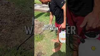 Thumbnail: Non toxic herbicide recipe