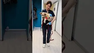 Thumbnail: She Had Survived the Streets Now She Was Learning How Beautiful a Safe Home Could Be