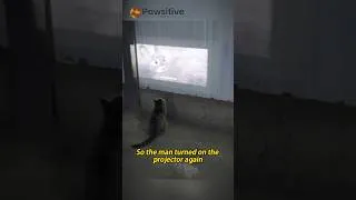 Thumbnail: He Went to Charge His Car… And Met This Cat