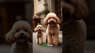 Thumbnail: Top 10 Dogs in the World 2025 #shorts