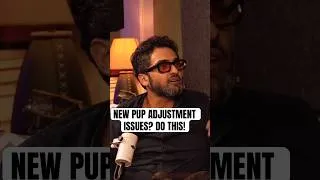 Thumbnail: New #puppy Not Adjusting to home? Make sure you don’t make common mistakes. Watch full video #dog