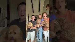 Thumbnail: Yayy puppies!!💜 did any of you see the new video on TheNinjaFam?! #puppy #fyp #family #ninjakidztv
