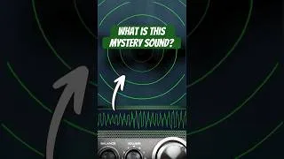 Thumbnail: They thought it was a sea monster...