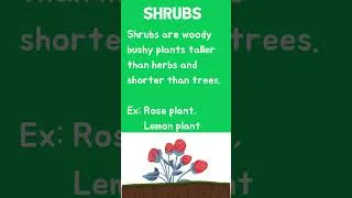 Thumbnail: Types of Plants 🌿 | Trees, Shrubs, Herbs, Climbers & Creepers | #Shorts #kidslearning #kidseducation