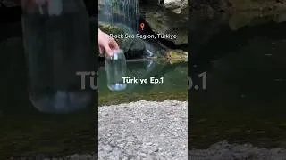 Thumbnail: 750 days ago, I made an ecosystem!
