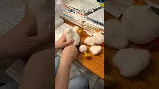 Thumbnail: This student who sells ducks has found a job direction  #Try something very new #Puppet #Salted Duck