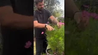 Thumbnail: Life’s full of beautiful surprises #Garden