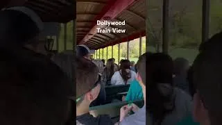 Thumbnail: Dollywood Train View