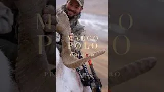 Thumbnail: MARCO POLO: Bowhunting the Impossible