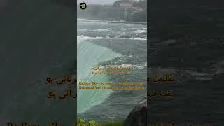 Thumbnail: Untold Facts About Niagara Falls | #shorts