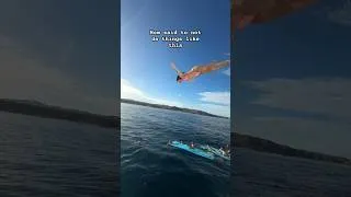 Thumbnail: Popped my ears it was high up and I was cold turkey #diving #boat #cabo #stunt