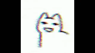 Thumbnail: LOST_CAT.mp4
