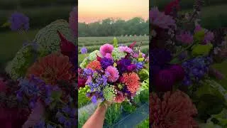 Thumbnail: Summer Bouquet #fyp #farmlife #bouquet #pepperharrow #flowerfarm