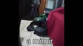 Thumbnail: PLEASE READ COMMENTS or desc