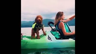 Thumbnail: Kayak Living with Perception