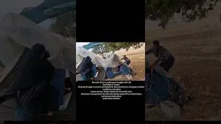 Thumbnail: Nomads: warriors of the wild nature
