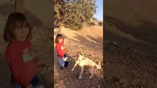Thumbnail: Mountain girl and the most loyal dog in the world