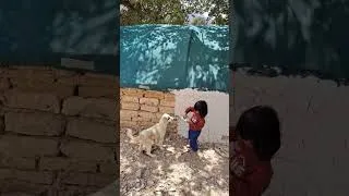 Thumbnail: Nomadic girl feeding her little dog