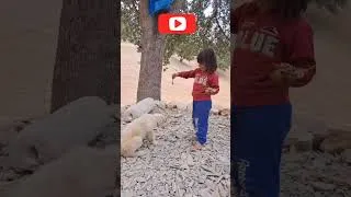 Thumbnail: The mountain girl feeding her little dog😍😍😍