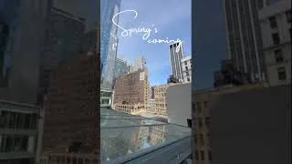 Thumbnail: Spring's Coming!
