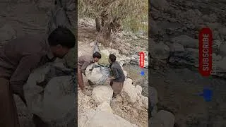 Thumbnail: How do river men build shelters for the winter with unknown tricks?#Camping #adventure #survival