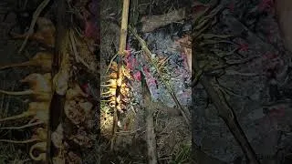 Thumbnail: We Caught 100 Rats In One Night!