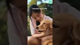 Thumbnail: Nourish Their Play, Love, Life